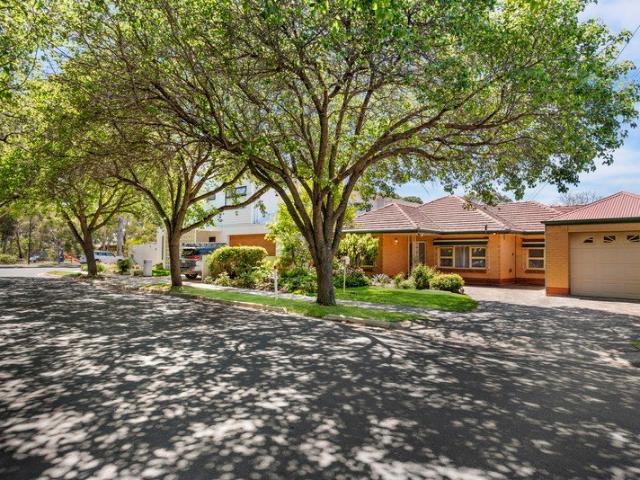 Prime Linear Park Frontage with Limitless Potential