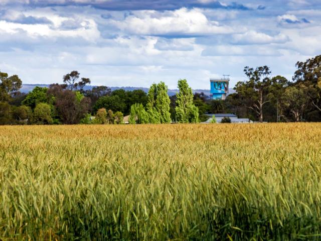 Prime Lifestyle and Farming Opportunity 27Ha 68Acres + 52Ha 130 Acre Blocks