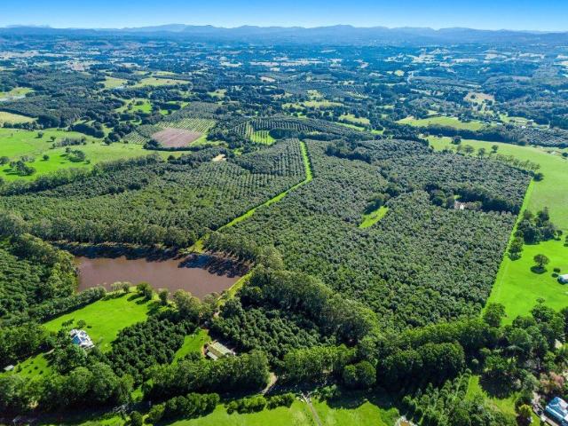 Prime Plateau Property Potential Plus