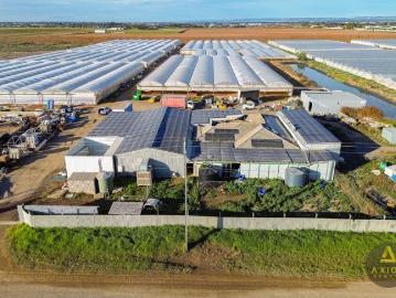 PRIME RURAL INVESTMENT OPPORTUNITY BUCKLAND PARK