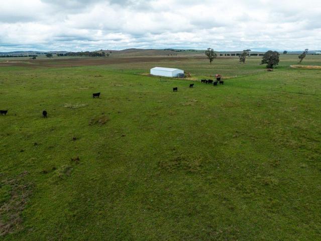 Prime Small Acreage