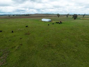 Prime Small Acreage