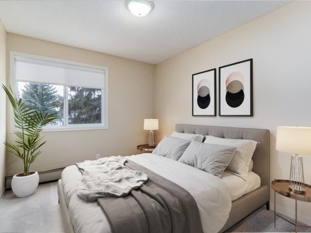 Primrose Lane Apartments Studio Apartment for Rent
