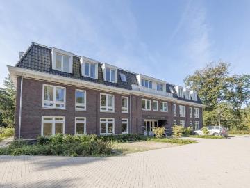 Olland, Meierijstad, Noord-Brabant - Tuin