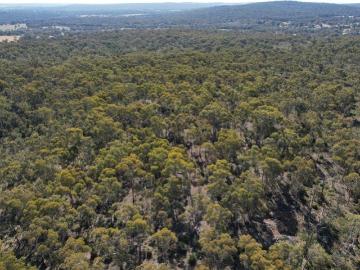 Pristine Bushland 715 acres