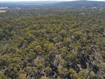 Bakers Hill, Northam Shire, Little Island, Western Australia