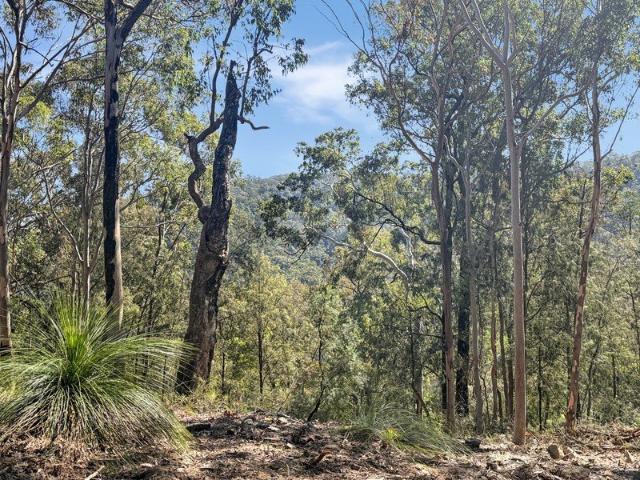 Pristine Bushland Sanctuary