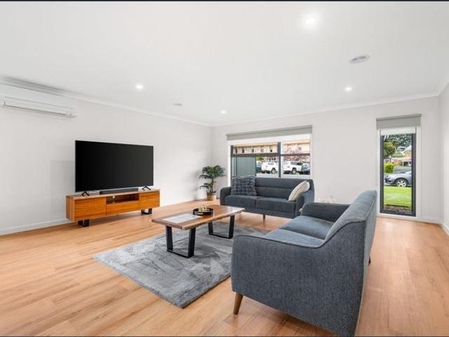 Pristine on Palmerston