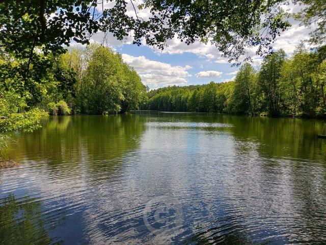 Polecam przytulną kawalerkę 30 m² z działką 19 arów, 400 m od jeziora