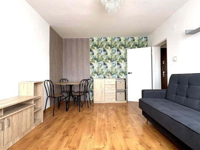 Przytulne 30,48 m² w Centrum Głogowa do wynajęcia ul. Daszyńskiego