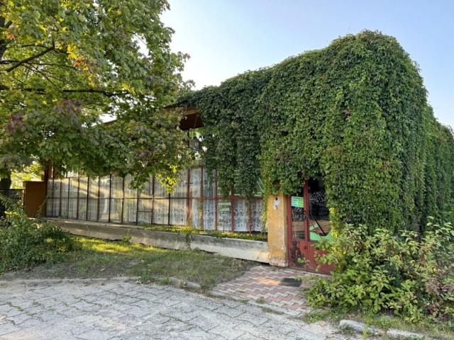 Przechodnia 170 m², Kłobuck