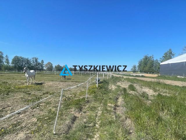 Działka 74 496 m² z biznesem, plaża 5 km, media, las