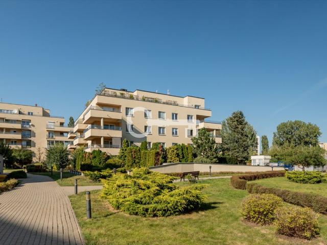 Przestronne 4 pokoje garaż blisko British School Warszawa