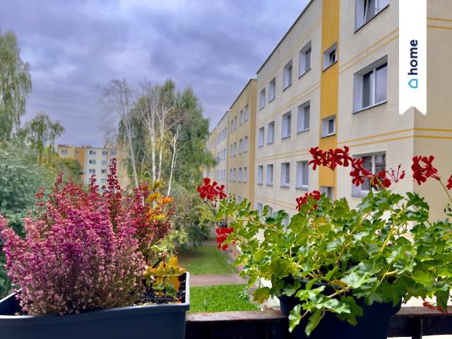 Przestronne 4 pokojowe mieszkanie 73,07 m² na niskim piętrze