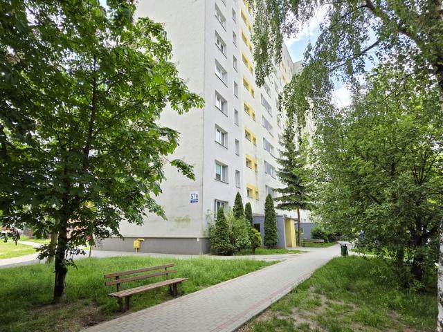 Przestronne 4 pokoje odświeżone, loggia, gotowe do wprowadzenia polecam!