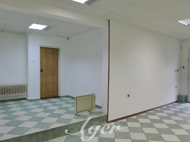 Przestronne 5 pokojowe mieszkanie z witryną i dużymi możliwościami aranżacji