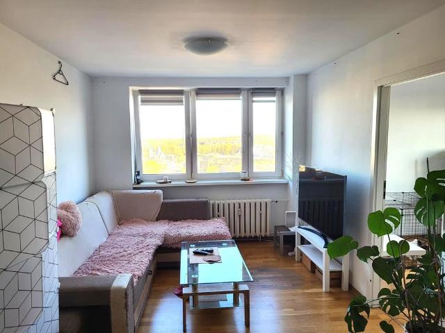 Zapraszam do obejrzenia jasnego 3 pokojowego mieszkania z balkonem w Katowicach