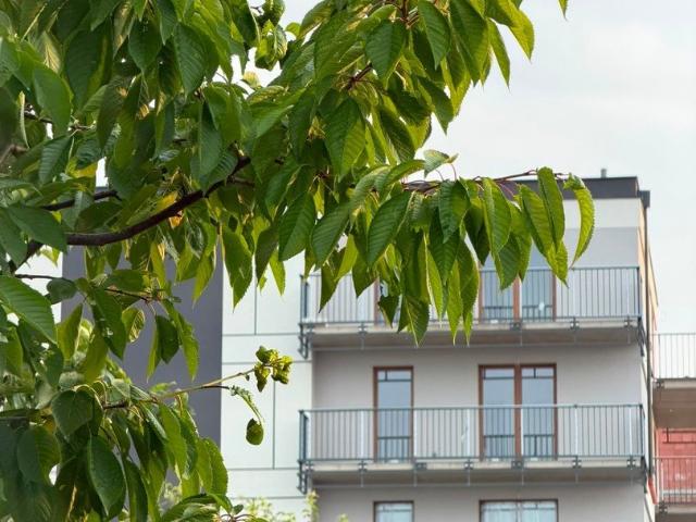 Przestronne 3 pokoje z balkonami w Sobótce polecam
