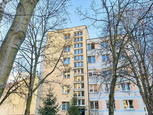 Przestronne 3 pokojowe mieszkanie w centrum Poznania