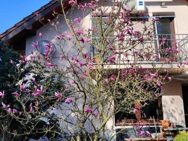 Przestronny dom 158 m² z widokiem na ogród i las