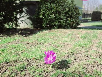Przestronny dom 160 m² z ogrodem i możliwością aranżacji