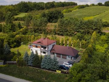 Dom w zieleni – wchodzisz i mieszkasz