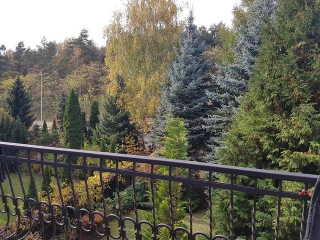 Przestronny dom 250 m² z garażem i ogrodem na Białołęce