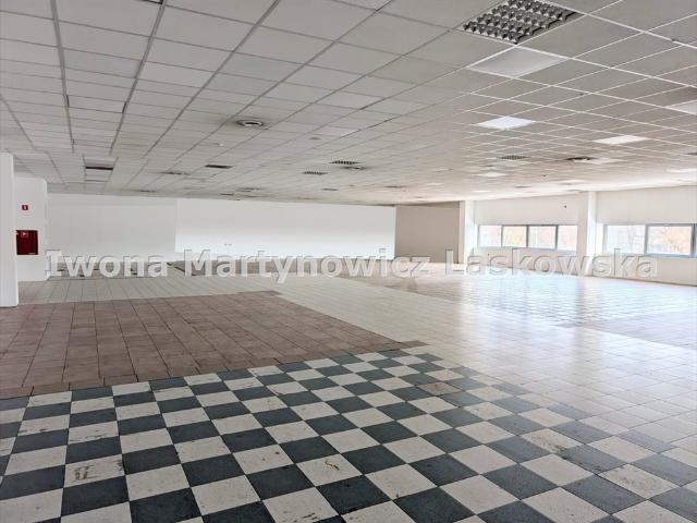 Przestronny lokal usługowy 1350 m² w centrum Lubina