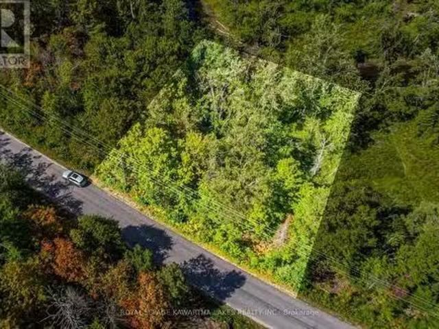 Pt Lot 36 Edwina Drive, Trent Lakes, ON, K0M 1A0 vacant land.