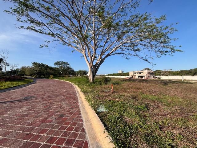 Punta Tibur?n, Terreno en VENTA en Marinas XXI de 449m2