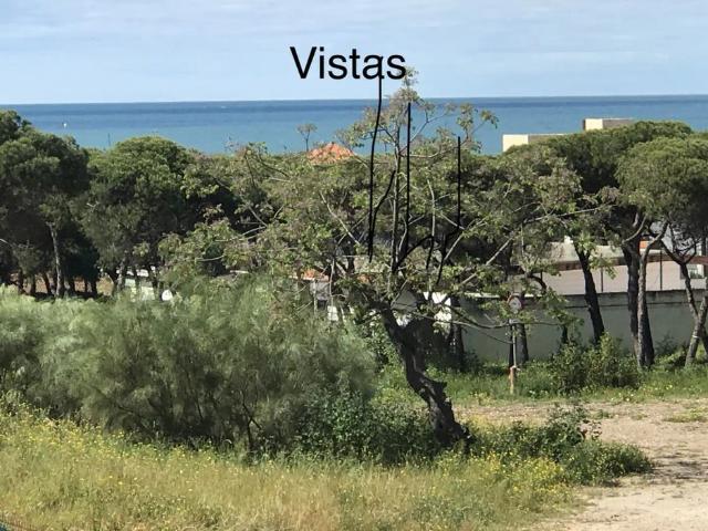 Punta Umbría