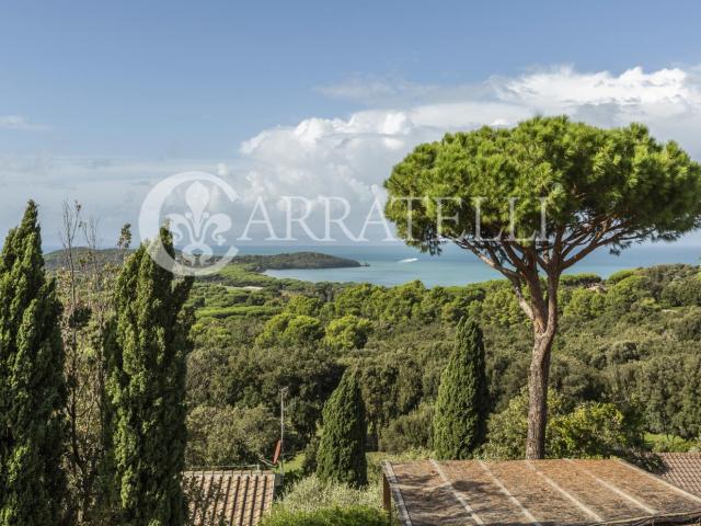 Punta Ala,Castiglione della Pescaia, Villa moderna di circa. 400m² Castiglione della Pescaia