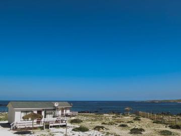 PUNTA DE CHOROS/LOS CHOROS, La Higuera