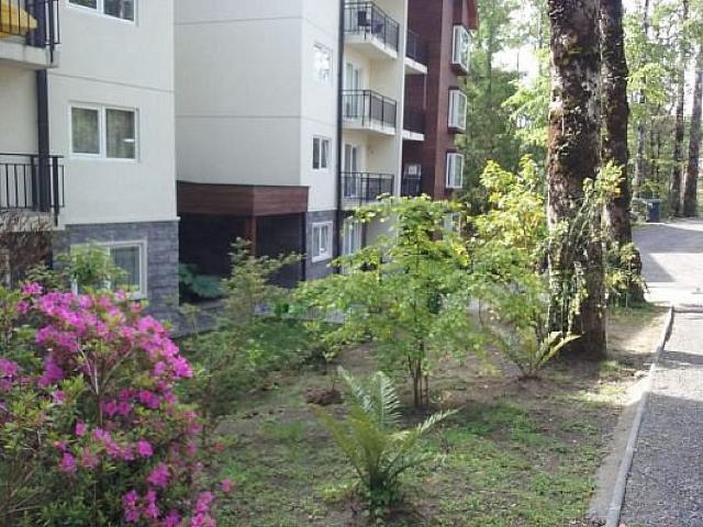 Pucón, venta dpto.1b 1d oferta excelente condominio