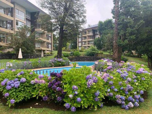 Pucon lindo departamento de 1 m