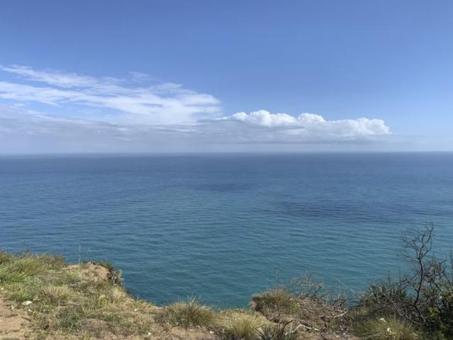 PUERTECILLO, TOPOCALMA, POLCURA,PUPUYA,MATANZAS PARCELAS