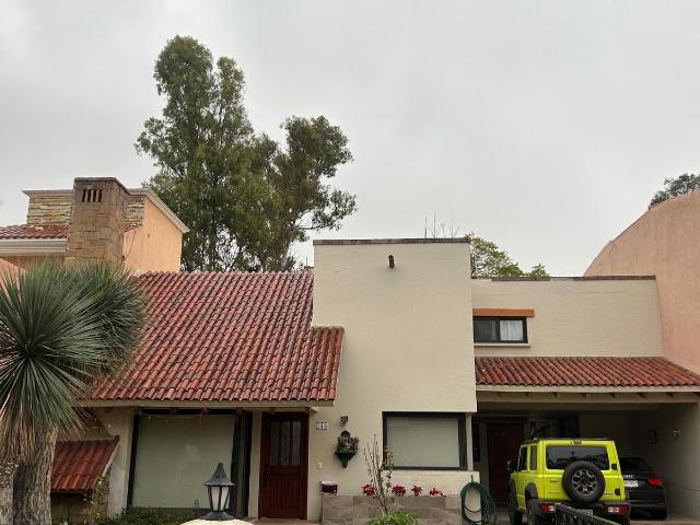 PULGAS PANDAS RENTA AMUEBLADA