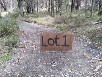 PURCHASE A GREAT BARGAIN IN A WONDERFUL FOREST AREA