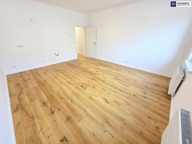 Pures Stadtleben! Frisch sanierter Erstbezug im letzten Liftstock! Ruhige Seitengasse Reinprechtsdorfer Straße um´s Eck! Fairer Preis!