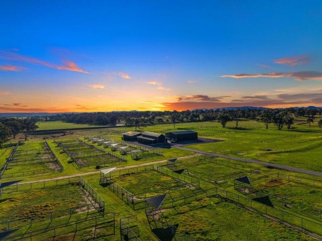 Purpose Built Equine Estate with Exceptional Rural Versatility