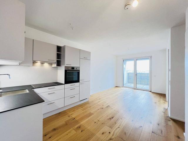 Q11 Gemütliches Zuhause zwischen Stadtzentrum und Fluss
