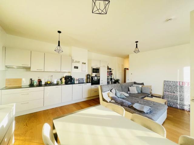 Q11 – Licht, Luft, Lebensgefühl: Ihre neue Terrassenwohnung zwischen Innenstadt und Traisen
