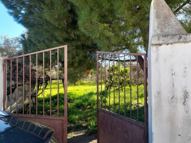 Terreno à Venda em Pedrogão Oportunidade Única!