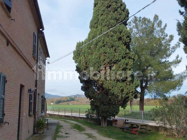 Quadrilocale buono stato, primo piano, Treia