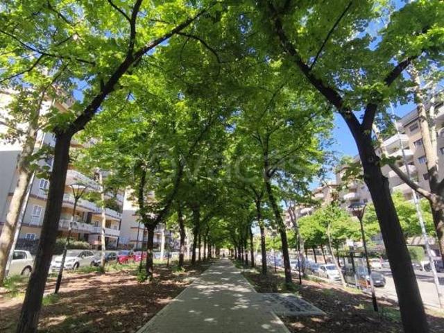 Quadrilocale in affitto a Bari, Poggiofranco
