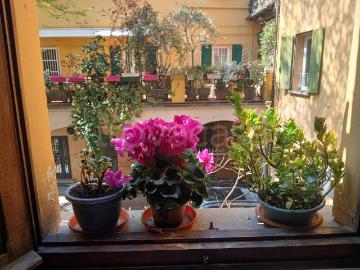 Quadrilocale in affitto a Bologna, San Felice