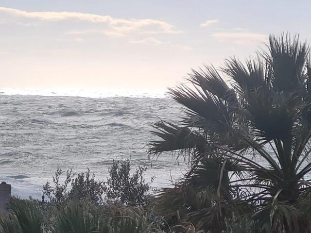 Quadrilocale in affitto a Livorno, case in affitto Livorno