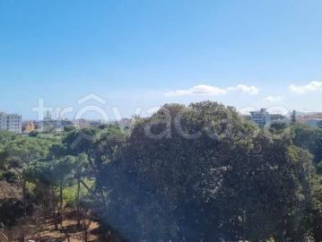 Quadrilocale in affitto a Palermo via Damiani Almeyda, 11, Notarbartolo Sciuti