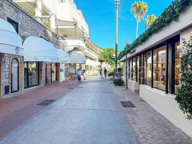 Quadrilocale in vendita a Capri via Ignazio Cerio, 12