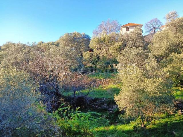 Quadrilocale in vendita a Genova via Val Trebbia, Molassana